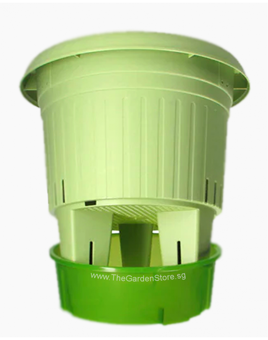 SelfWatering Pot with Water Storage Tray